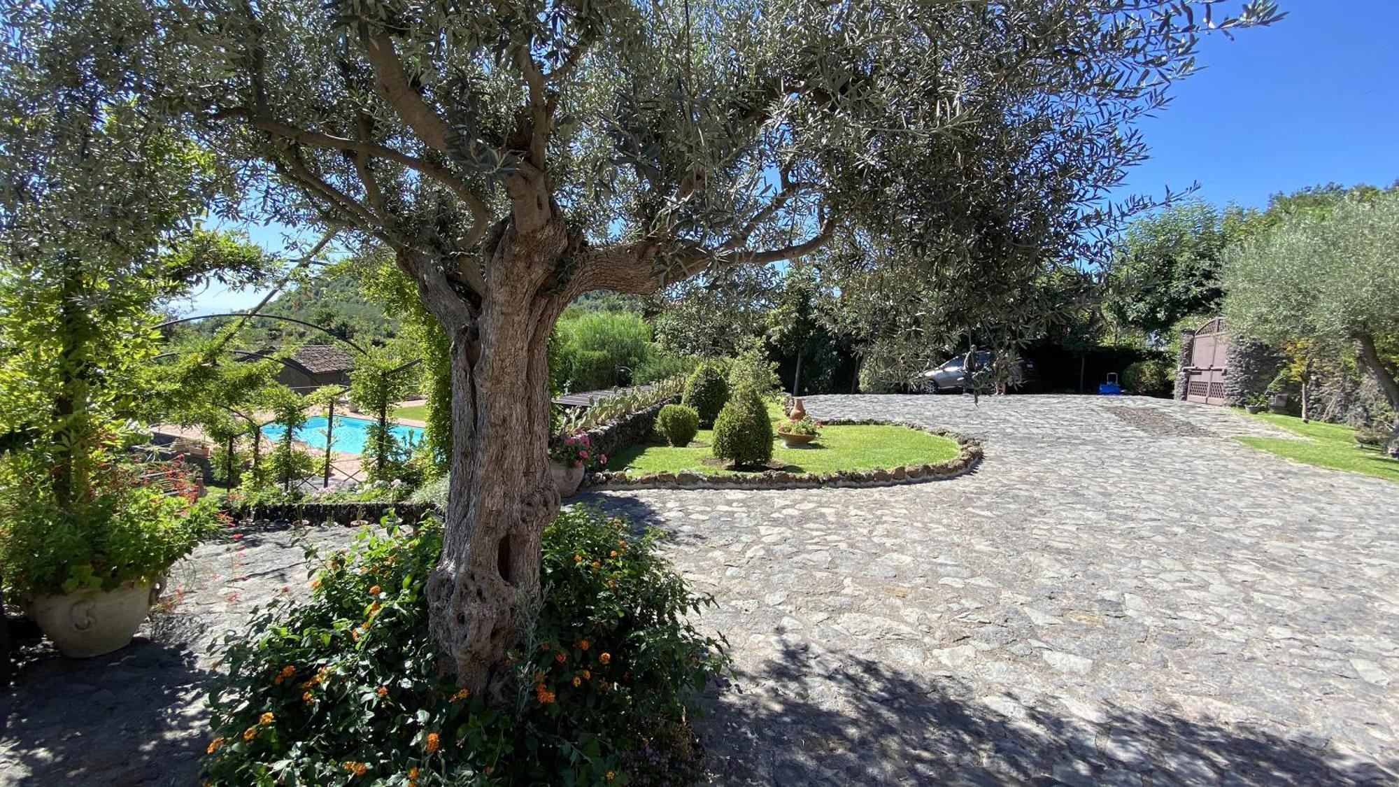 Il Palmento Dell'Etna Villa Trecastagni Exterior foto